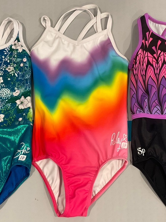 Other - SylviaP sz8 Riley Rainbow Ombre Tank Leotard